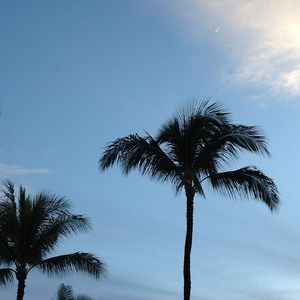 Meet your Posher, Teresa